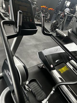 Escaladora profesional Bodytone Pegasus