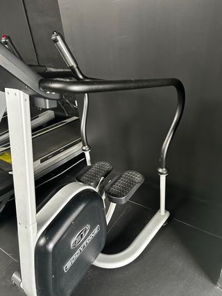 Escaladora profesional Bodytone Pegasus