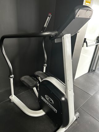 Escaladora profesional Bodytone Pegasus