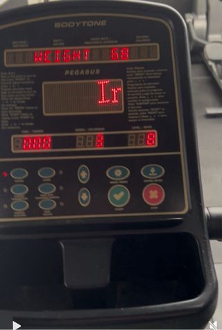 Escaladora profesional Bodytone Pegasus