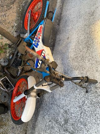 Beta Mini Trial 70cc urge venta