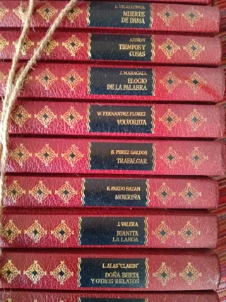 Lote 15 libros varios