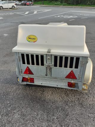 Remolque para perros con tapa