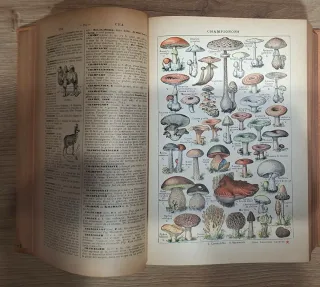 Nouveau Petit Larousse Illustré Edizione 1934