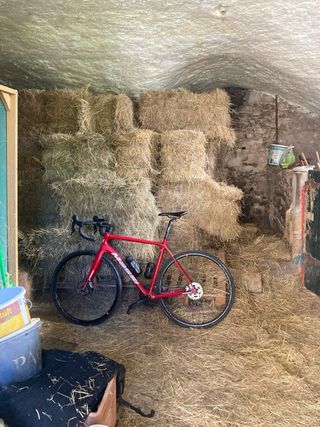 Massi Team Race Ultegra Disc 2022 Roja