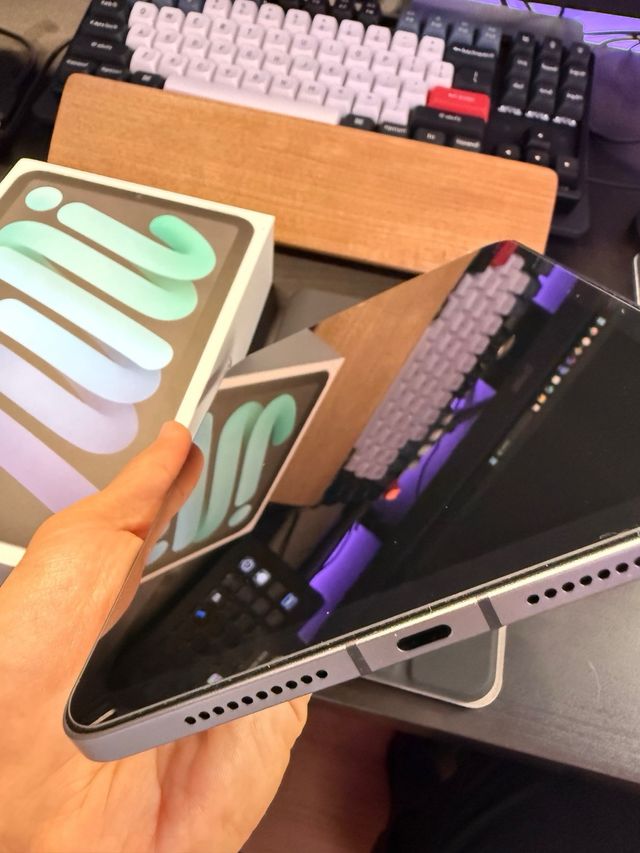 iPad Mini 6 64Gb Wi-Fi + Cellular Gris Espacial