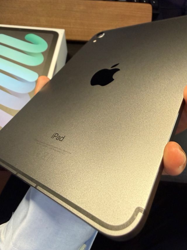 iPad Mini 6 64Gb Wi-Fi + Cellular Gris Espacial