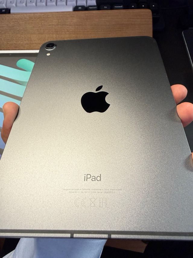 iPad Mini 6 64Gb Wi-Fi + Cellular Gris Espacial