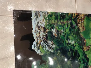 Sfondo per acquario con piante