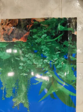 Sfondo per acquario con piante