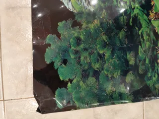 Sfondo per acquario con piante