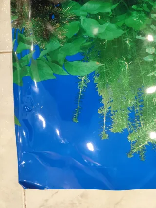 Sfondo per acquario con piante