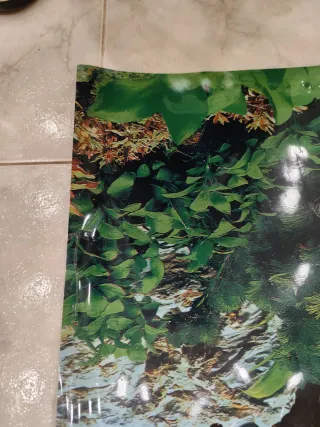 Sfondo per acquario con piante