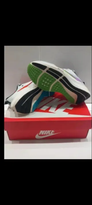 Nike Pegasus 40 Zapatillas Running Multicolor
