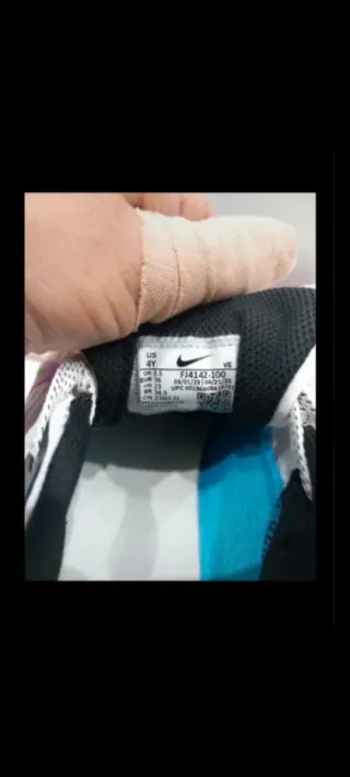 Nike Pegasus 40 Zapatillas Running Multicolor