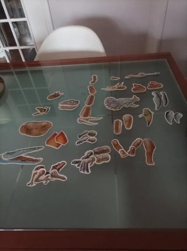 Crea Tus Dinosaurios