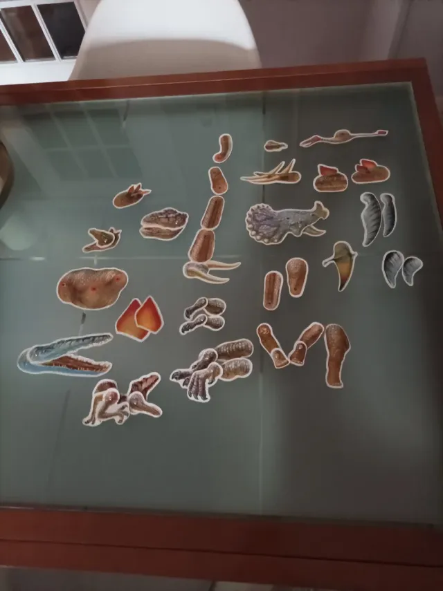 Crea Tus Dinosaurios