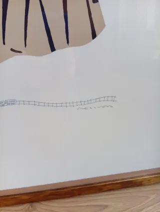 Arte contemporáneo Litografía de Fernando Belver