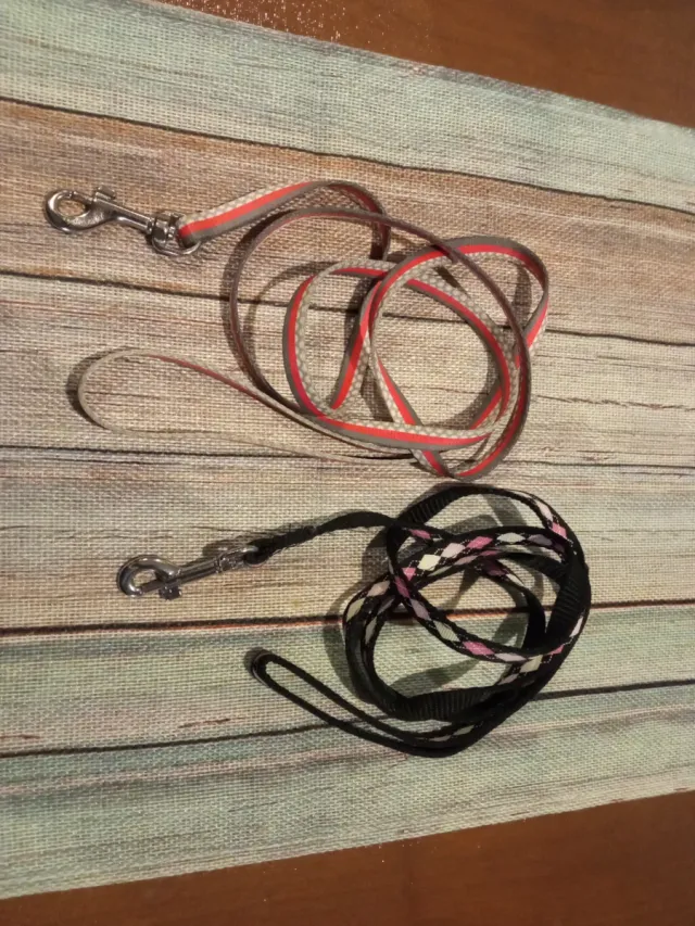 Correas para mascotas