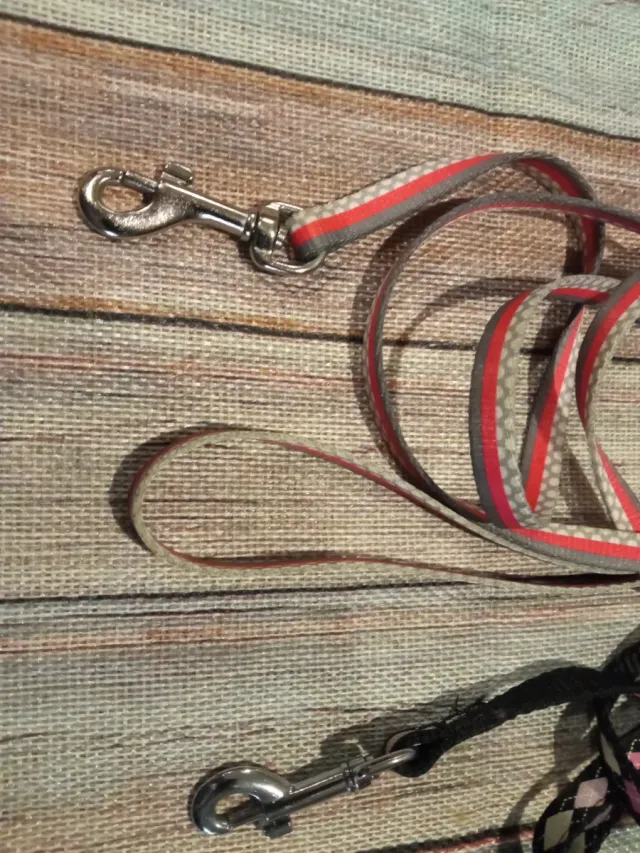 Correas para mascotas