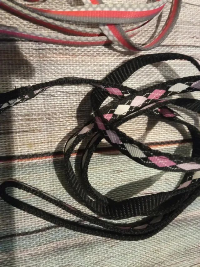 Correas para mascotas