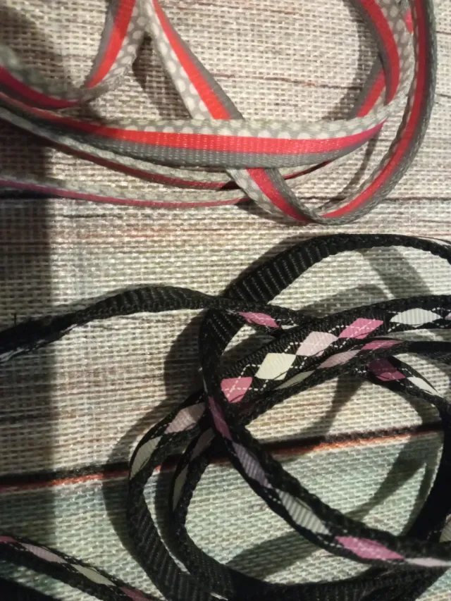 Correas para mascotas