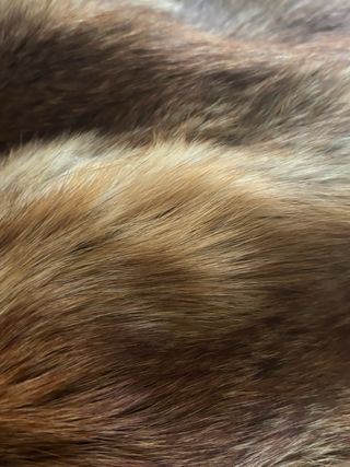 Abrigo de piel auténtica