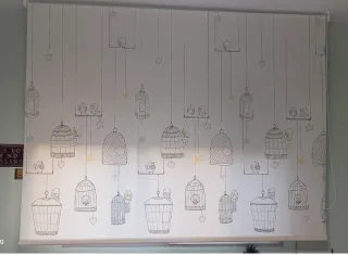 Estor enrollable con cadena 180 x 250