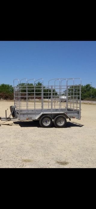 Remolque 3500 kgs