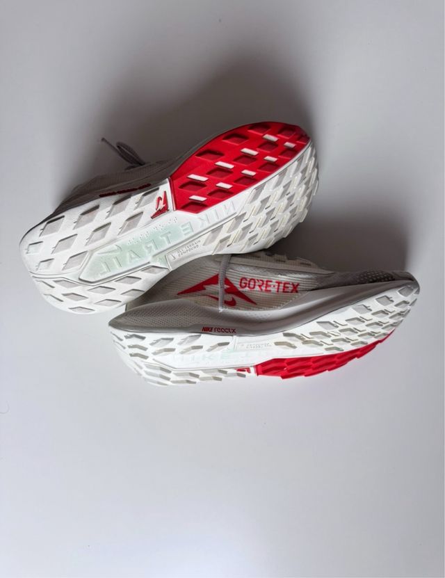 Nike Pegasus Trail 5 Gore-Tex GTX