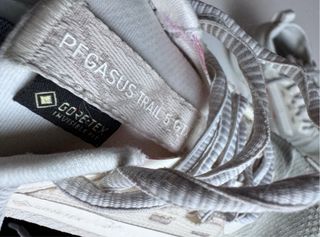 Nike Pegasus Trail 5 Gore-Tex GTX
