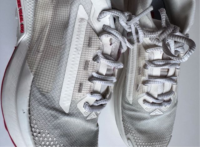 Nike Pegasus Trail 5 Gore-Tex GTX