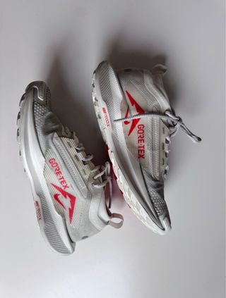 Nike Pegasus Trail 5 Gore-Tex GTX