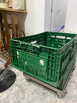 Gavetas/cestas plegables verdes