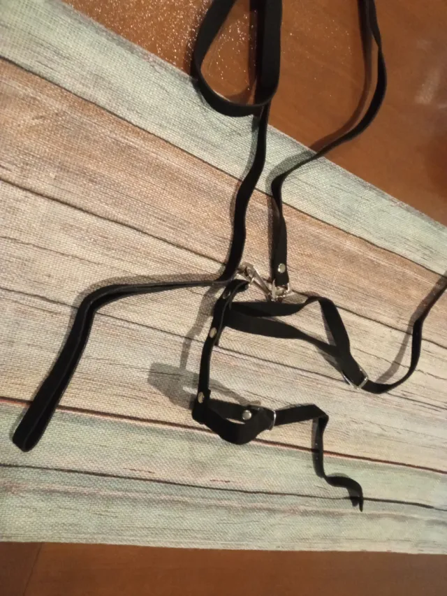 Arnés y correa para mascotas