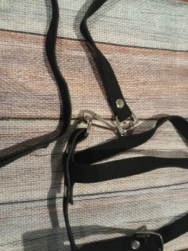 Arnés y correa para mascotas