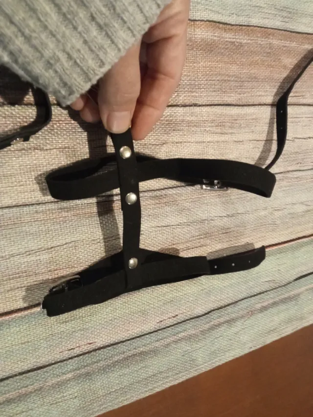 Arnés y correa para mascotas