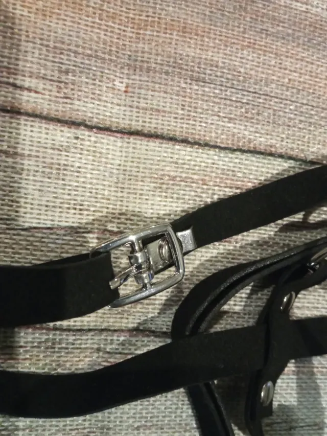 Arnés y correa para mascotas