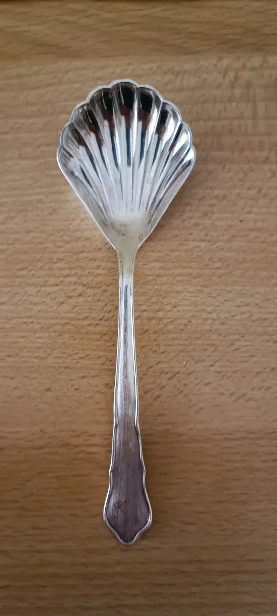 Cucchiaino a forma di conchiglia