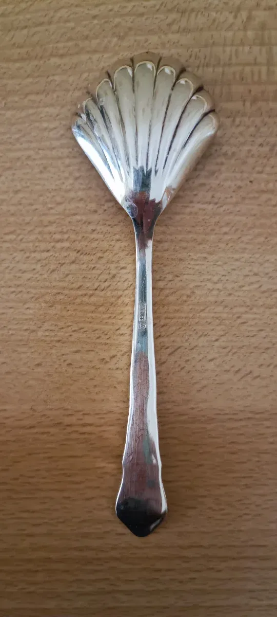 Cucchiaino a forma di conchiglia