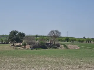 Terreno agrícola/huerto en alquiler