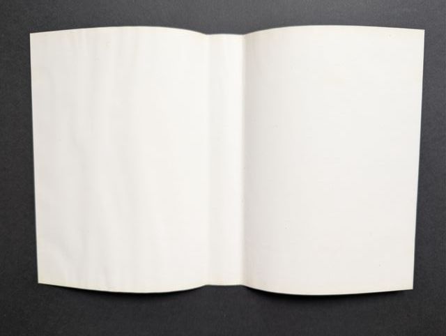 Gynoug original SEGA Mega Drive