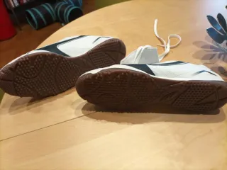 Zapatillas Puma Futsal Blancas y Azules