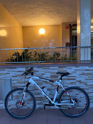 Bicicleta Montaña Rockrider