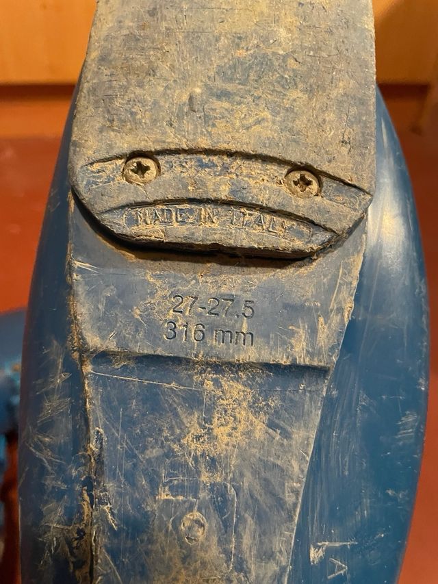 Botas de esquí Lange azules