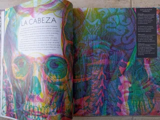 Libro Ilumianatomía