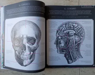 Libro Ilumianatomía