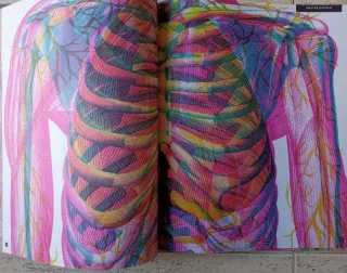 Libro Ilumianatomía