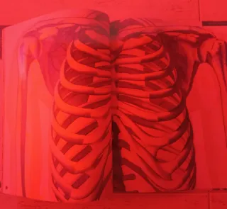 Libro Ilumianatomía