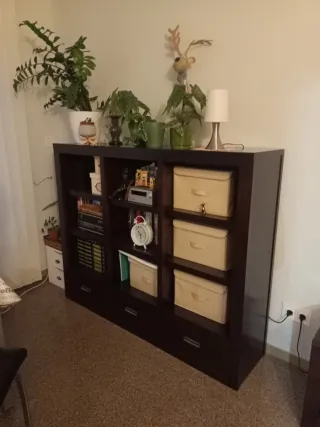 Librería de madera oscura